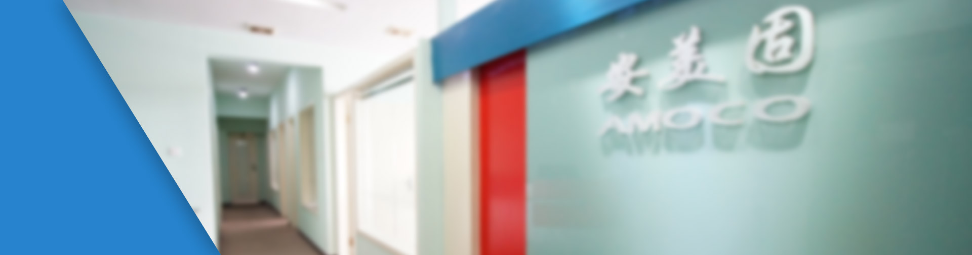 雙膜氣柜 儲氣柜 沼氣氣柜 - 成都安美固建筑工程科技有限公司